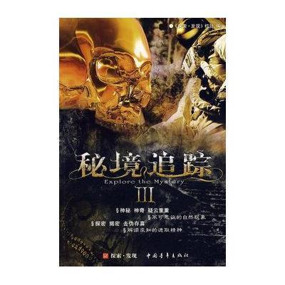 维京海盗对战